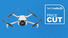 DJI Mini 3